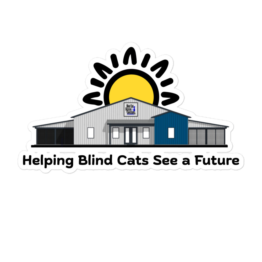 Building the Future of Blind Cat Rescue & Sanctuary