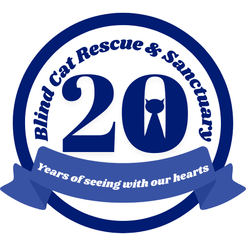 Blind Cat Rescue Shop