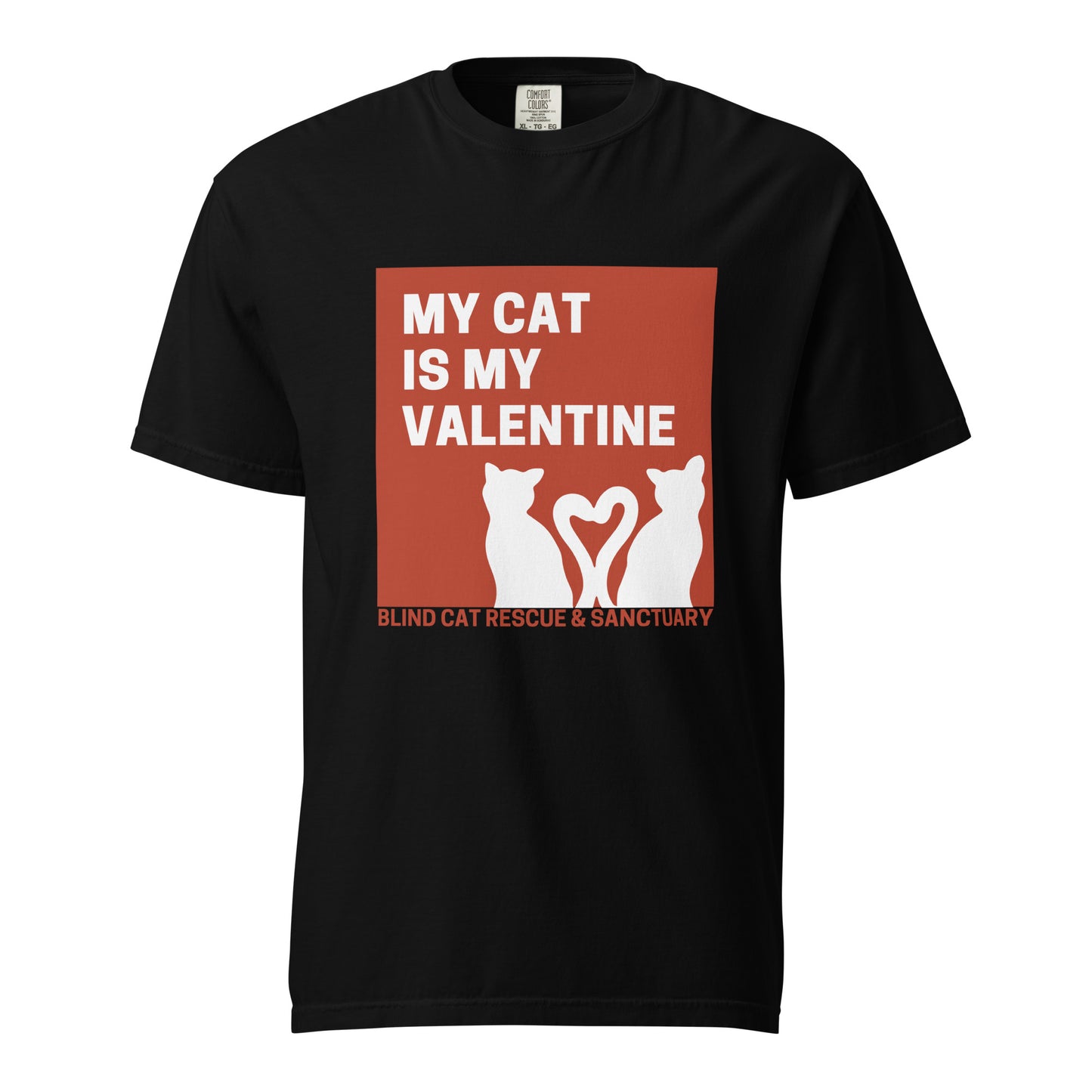 My Cat is My Valentine BCR t-shirt