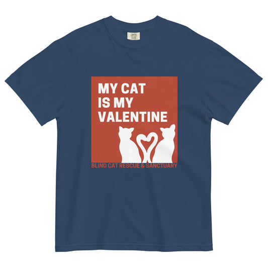 My Cat is My Valentine BCR t-shirt