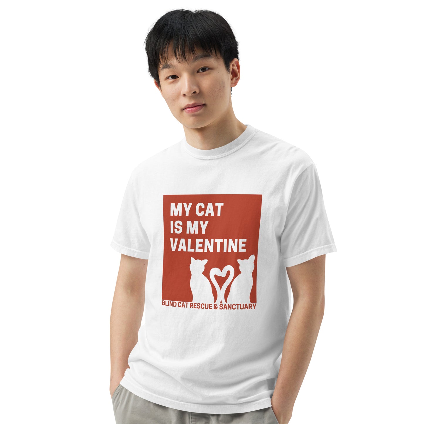 My Cat is My Valentine BCR t-shirt